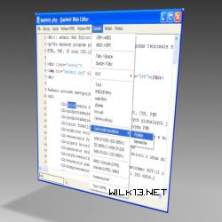 Kashmir Web Editor screenshot